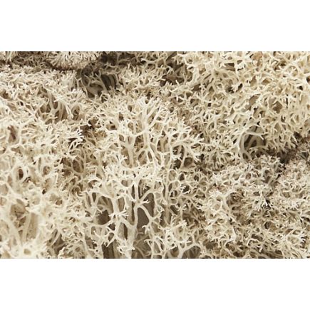 Woodland Scenics L166 Natural Lichen