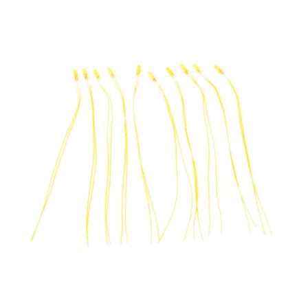 Grain of Wheat Bulbs Yellow (Pack of 10)