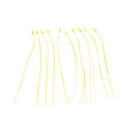 Grain of Wheat Bulbs Yellow (Pack of 10)