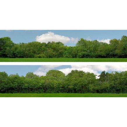 ID Backscencs ID149A 15 Inch Backscene Trees Set A