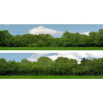 ID Backscencs ID149A OO Gauge Tall Trees Backscene Set A