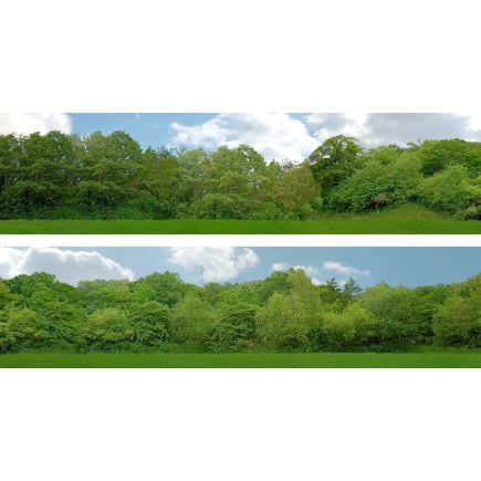 ID Backscencs ID149B 15 Inch Trees Backscene Set B