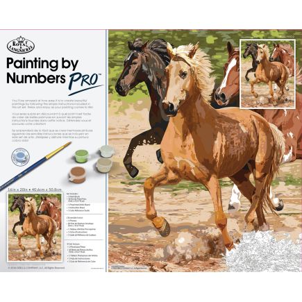 Royal And Langnickel PBNPRO2 Pro Paint By Numbers Galloping