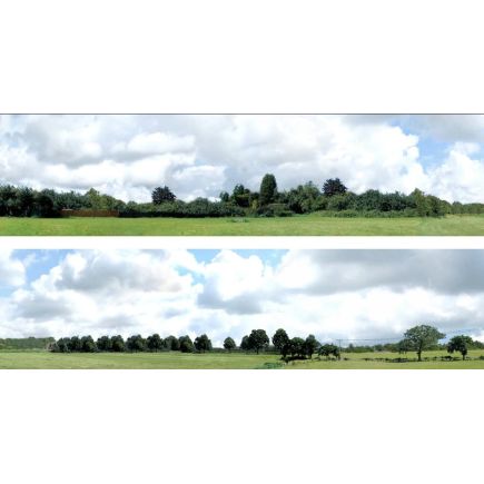 ID Backscenes ID109B 15 Inch Countryside Set B