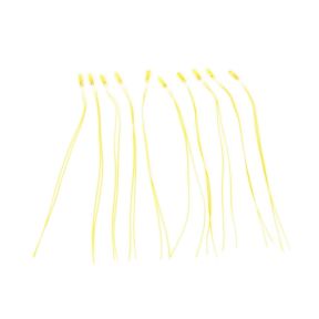 Grain of Wheat Bulbs Yellow (Pack of 10)