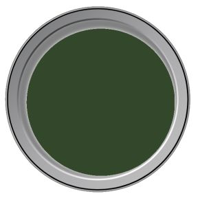 Precision Paints P101 BR Loco Green (Post 1954) Paint