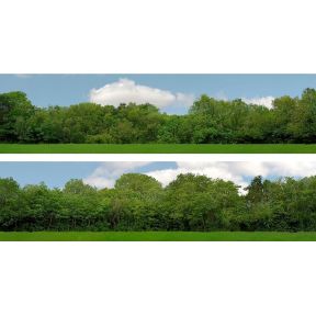 ID Backscencs ID149A OO Gauge Tall Trees Backscene Set A