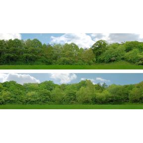 ID Backscencs ID149B 15 Inch Trees Backscene Set B