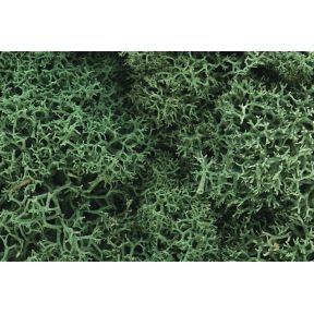 Woodland Scenics L162 Light Green Lichen