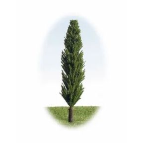 K&M Trees P500 80mm Tall Green Trees Pack Of 6
