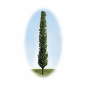 K&M Trees P700 150mm Tall Green Trees Pack Of 4