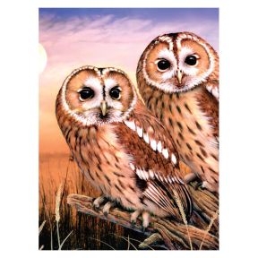 Royal And Langnickel PJS87 Tawny Owls Paint By Numbers