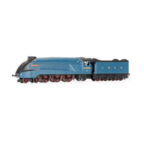 Hornby R30264 OO Gauge Hornby Dublo LNER A4 4-6-2 4464 Bittern Great Gathering 10th Anniversary