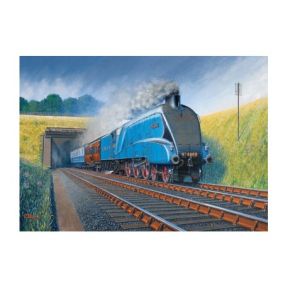 Rothbury 60963 Mallard At Speed Card