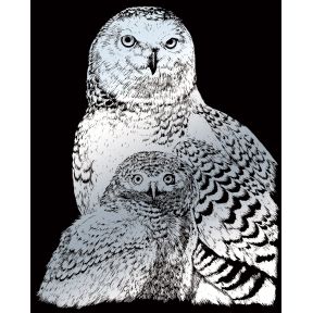 Royal And Langnickel SILF43 Snowy Owls Engraving Art