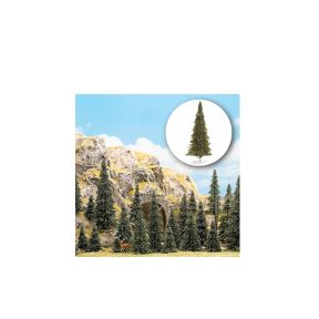 20 Pine Trees