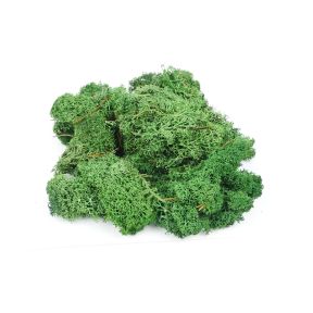 Gaugemaster GM1602 Dark Green Lichen 80g