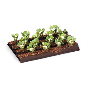 Gaugemaster GM1621 OO Gauge Cauliflower Plants
