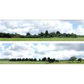 ID Backscenes ID109B 15 Inch Countryside Set B