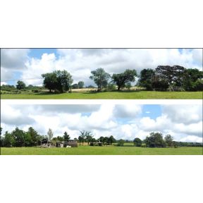 ID Backscenes ID109C 15 Inch Countryside Set C